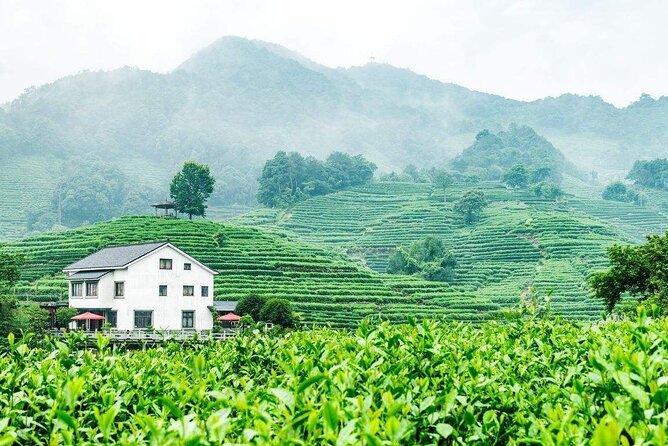 Private Hangzhou Day Tour From Shanghai - Free Cancellation Policy