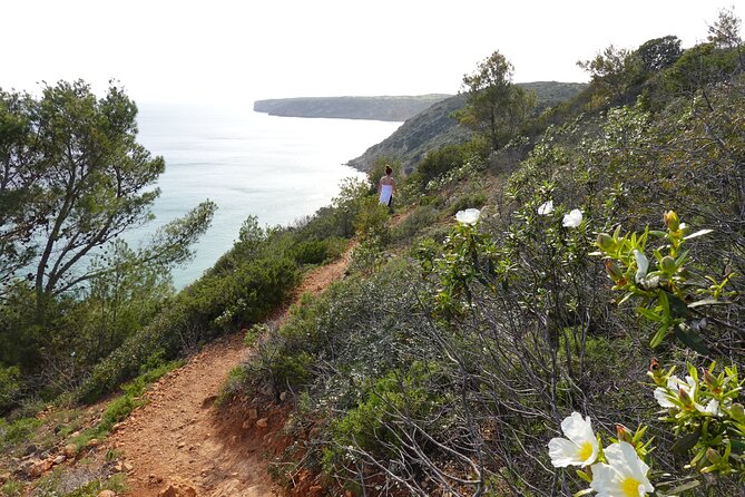 Private Hiking Tour Along the Last Wild Side of the South Coast - Frequently Asked Questions