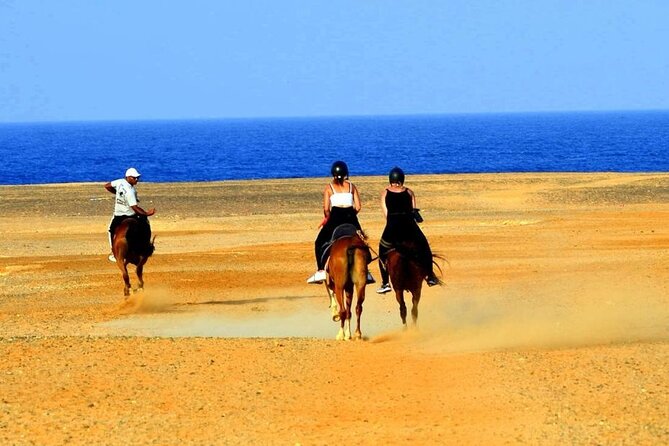 Private Horseback Riding in Marsa Alam and Port Ghalib - Transportation Options