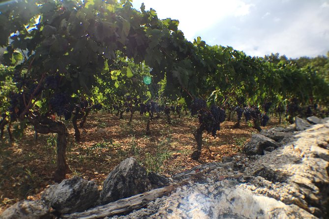 Private Hvar Wine Tasting Tour With Traditional Dinner/Lunch - Booking Information