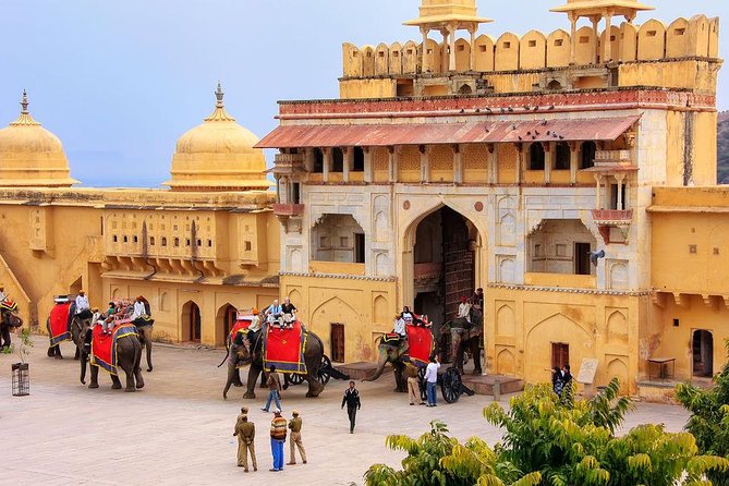 Private Jaipur Tour From Delhi by Express Train - Tour Overview