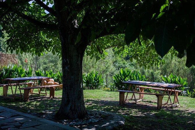 Private Katakolo Tour Visit of Marble Art Workshop & Honey Farm - Frequently Asked Questions