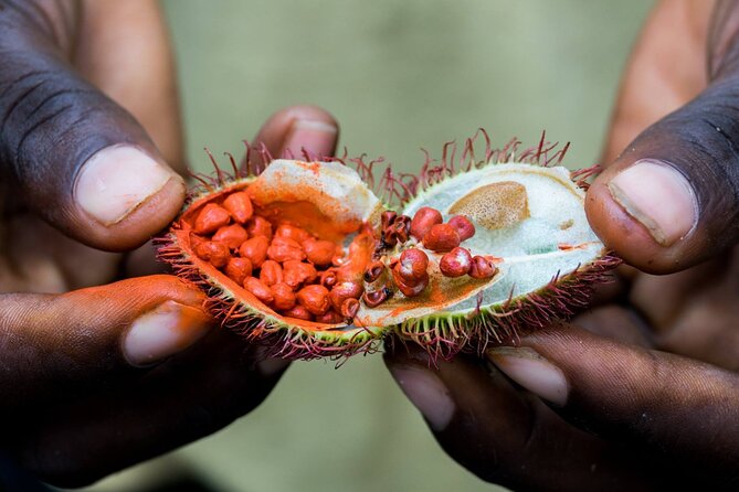 Private Mnemba Island Tour; Spice Tour; Prison Island Tour - Cancellation Policy