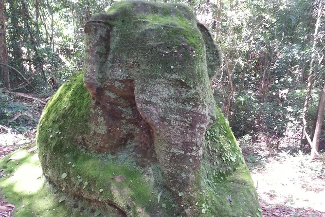 Private One Day Trekking in the Forest on Kulen Mountain - Safety Measures