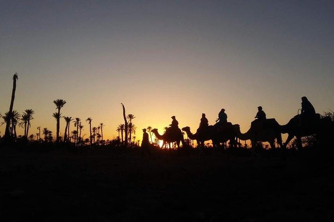 Private Palm Grove Camel Ride With A Tea Break. - Pickup Information