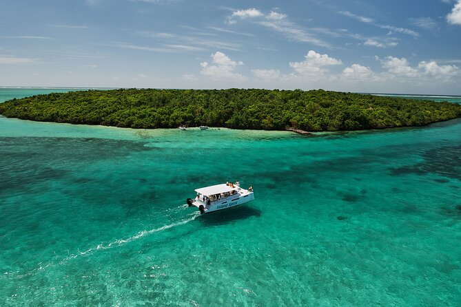 Private Power Catamaran Trip From Pointe Jerome - Important Booking Information