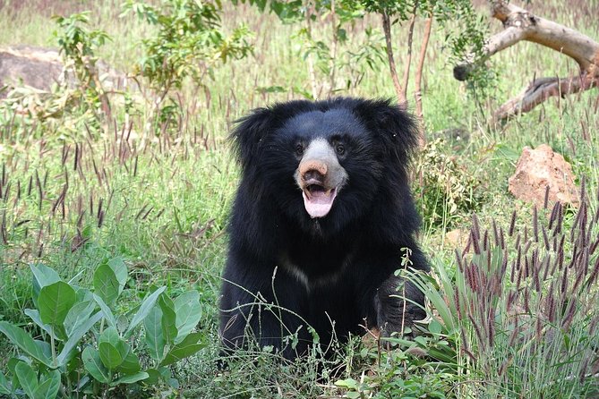 Private Safari at Yala National Park - Jeep Cost