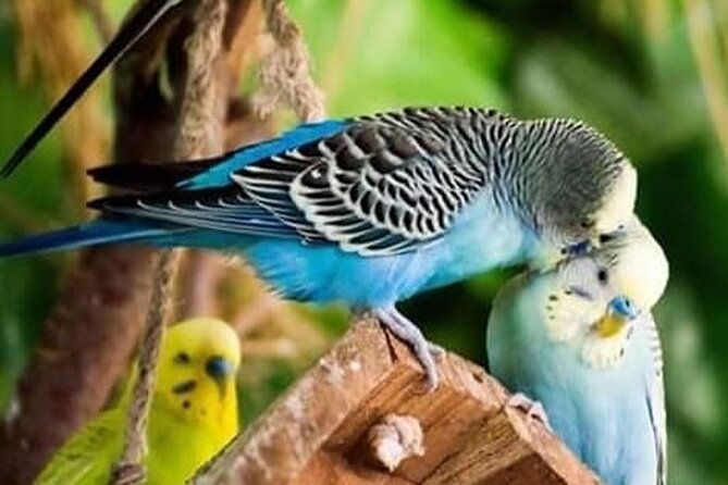 Private Safari Tour To Africano Park Alexandria From Cairo - Confirmation Details