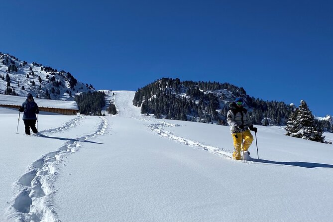 Private Snowshoe Hike in Courchevel - Additional Info