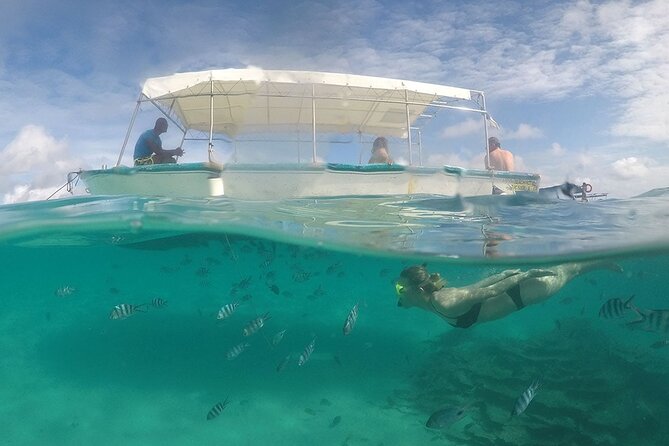 Private Speed Boat East Coast Island Discovery to 5 Islands - Pricing and Lowest Price Guarantee