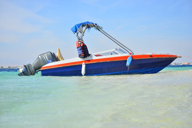 PRIVATE Speed Boat Snorkeling With Dolphins Sea Trip - Hurghada - Tips for a Great Experience