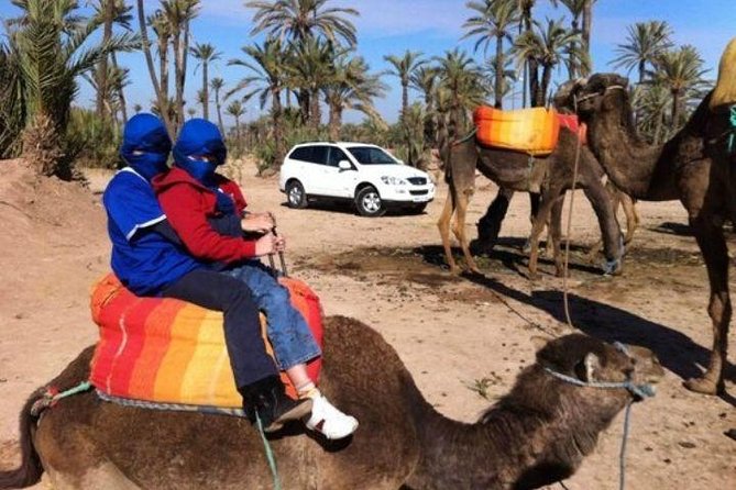 Private Sunset Camel Ride in the Palm Grove of Marrakech Palmeraie:Private Tour - Pricing and Reservation