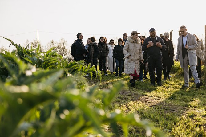Private Sunset Wine Experience at IsolaLeVignole - Frequently Asked Questions