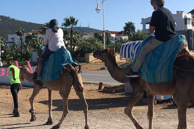 Private Tangier Tour and Camel Ride From Cruise Ship - Local Attractions and Experiences