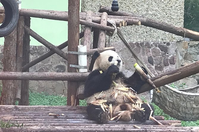 Private Tour by Metro of Shanghai Zoo, Qibao Old Town and Shanghai Tower - Itinerary Overview