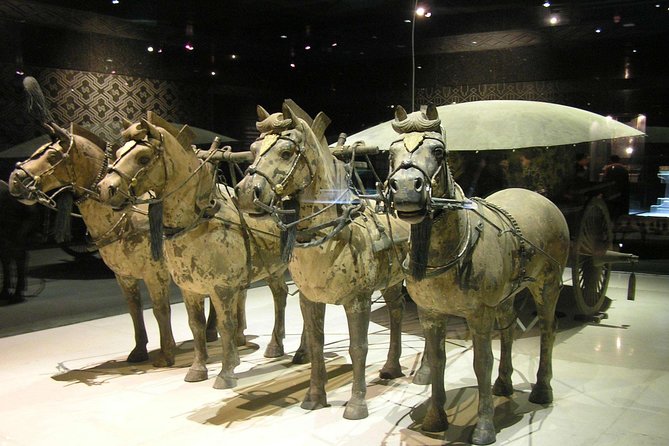 Private Tour: Essential Xian Day Tour Including Terra Cotta Warriors and Horses - Accessibility and Dietary Options