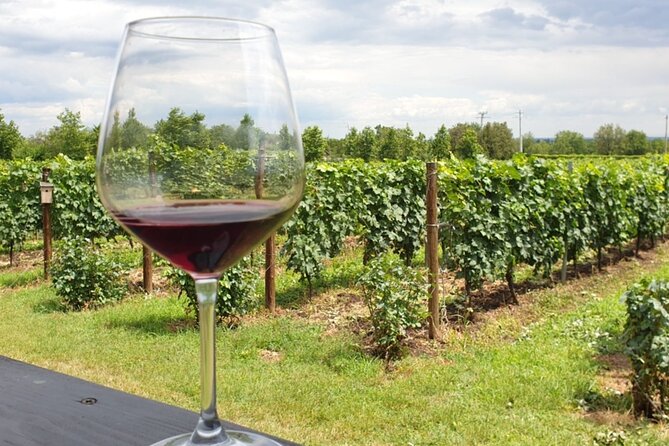 Private Tour to Draculas Grave, Wine Cellar and Medieval Palace - Tour Requirements