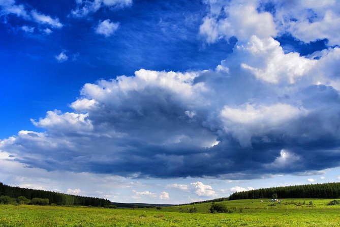 Private Transfer Between Beijing and Bashang Grassland in Mulan Weichang - Cancellation Policy