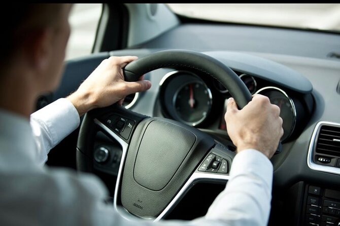 Private Transfer From Cruise Port to Sants Station - Booking Information