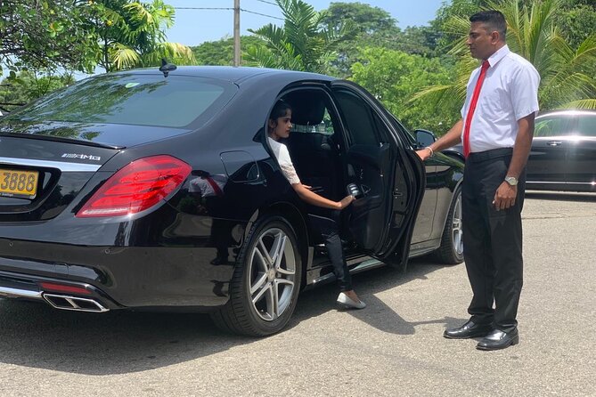 Private Transfer One Way From Paris Hotel to Disneyland Paris - Price and Guarantee