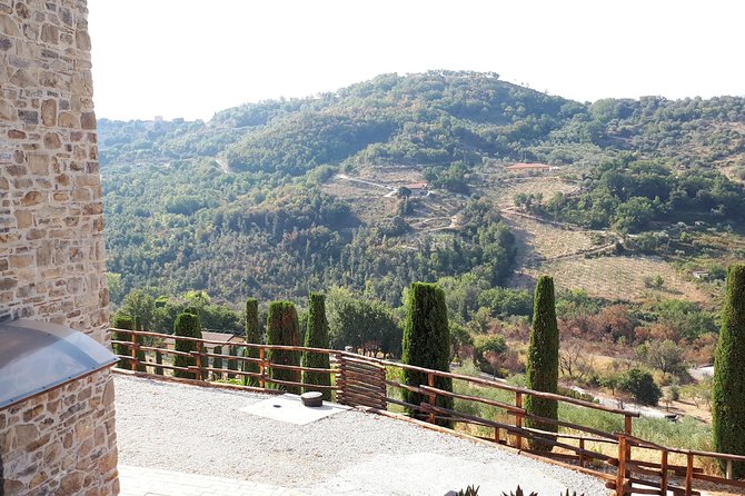 Private Transfer Siena and Province to Sorrento or Viceversa - Cancellation Policy