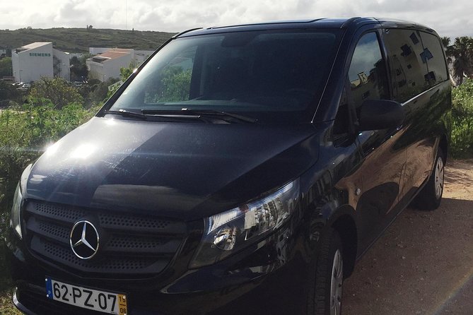 Private Transfer To or From Paris - Flexibility and Group Participation