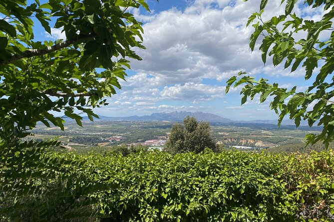 Private Vineyards and Villages Wine Tour With Lunch With Pickup From Barcelona - Booking Instructions