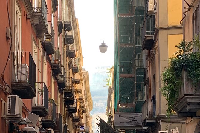 Private Walking Tour Visit to Naples With Licensed Guide - Start Time