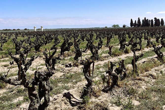 Private Wine Excursion in Camargue Sand Minibus - Booking Process