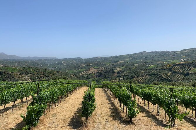 Private Wine Tour and Tastings at Dafnes Valley (Lunch Included) - Lunch With a View