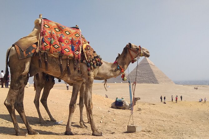 Pyramids of Giza and Sphinx in Private Tour - Cancellation Policy