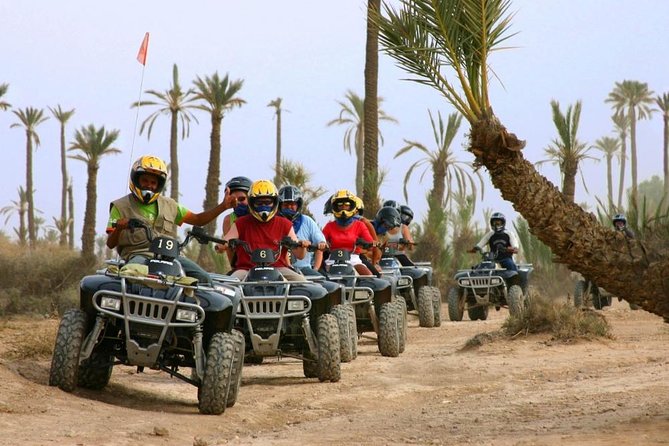 Quad Bike and Camel Ride in Marrakech Palmeraie - Pricing and Booking