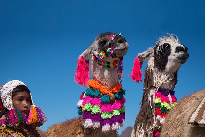 Rainbow Mountain Cusco Full Day Tour - Booking Process