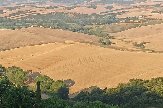 Ramble Through the Rolling Hills of Chianti With Lunch and 2 Wine Tastings - The Sum Up