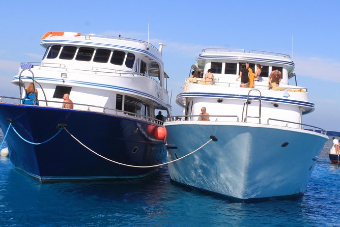 Ras Muhammed & White Island Snorkeling Boat Trip With Lunch - Sharm El Sheikh - Activity Itinerary