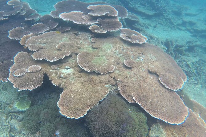 Rawa Island Snorkeling Tour From Perhentian Island - Tour Directions and Contact Information
