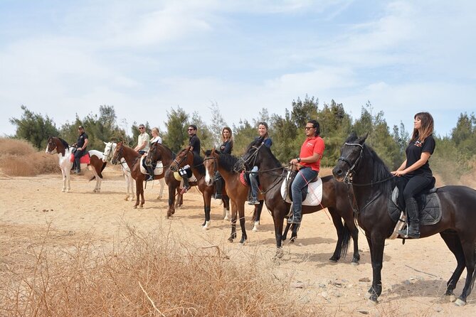 Relaxation Turkish Bath and 2 Hours Horse Riding With Transfer - Sharm El Sheikh - Pickup Service