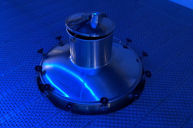 Ribera Del Duero From Madrid: Visit 2 Wineries With English Guide - The Sum Up