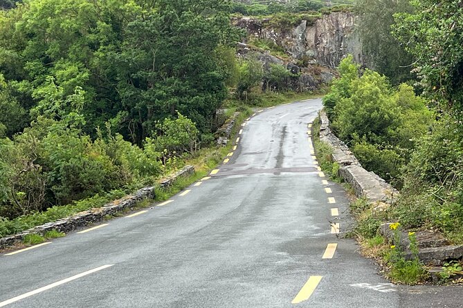 Ring of Kerry Day Tour From Killarney - How to Reserve