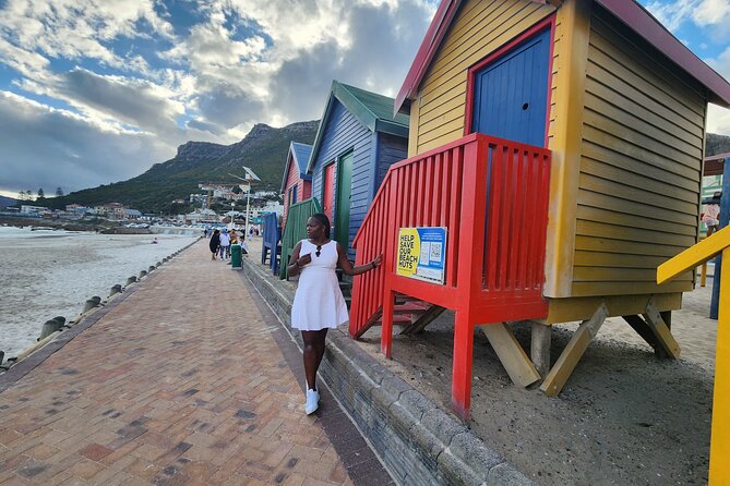 Robben Island, Penguins,Cape of Good Hope Private From Cape Town - Ticket Prices