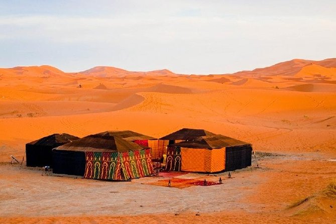 Safari to Sahara Desert With Riding Camel - Meal Inclusions