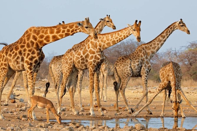 Safari Zimbabwe and Botswana - Meeting Point Information