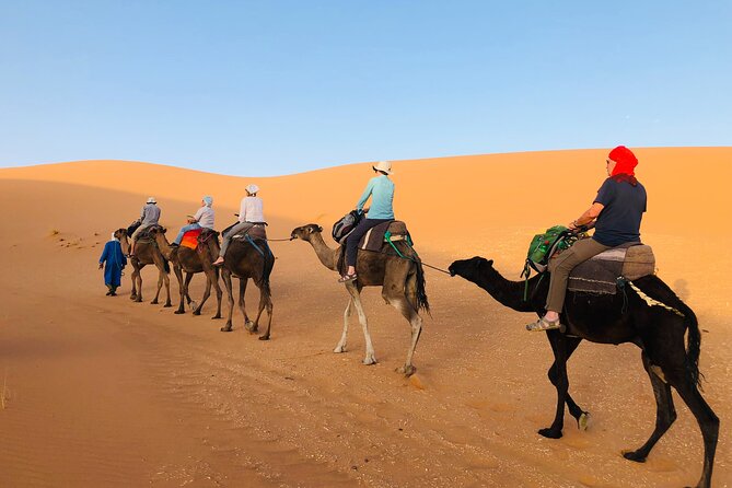 Sahara Desert & Atlas Mountains 5 Days / 4 Nights - Schedule and Availability