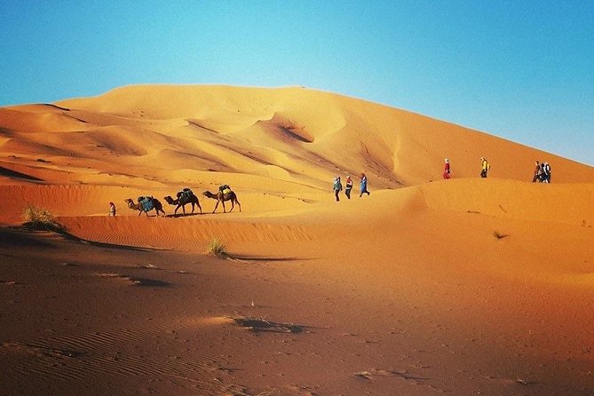 Sahara Desert Tour From Marrakech: Morocco Private Tour 4 Days - Pricing and Guarantee