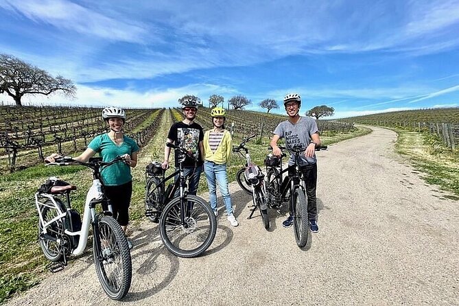 Saint Emilion Private E-Bike Winery Tour With Picnic Lunch - The Sum Up