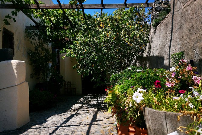 Santorini South Private Tour 4 Hours - Accessibility Information