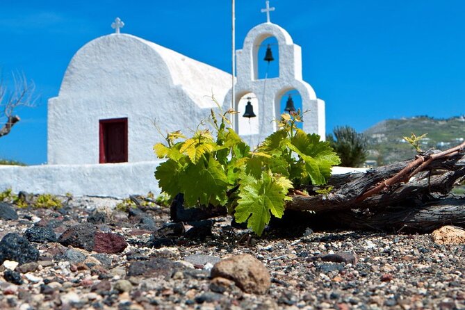 Santorini Wine and Wineries Tour - Tour Flexibility and Accessibility
