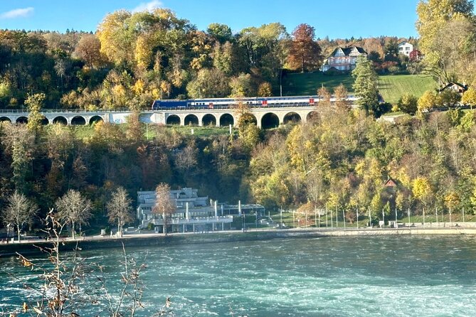 Schaffhausen and the Rhine Largest Falls Private Tour From Basel - Cancellation Policy