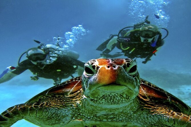 Scuba Diving Open Water PADI Course, Diving Licence Fees - Sharm El Sheikh - Course Location and Inclusions