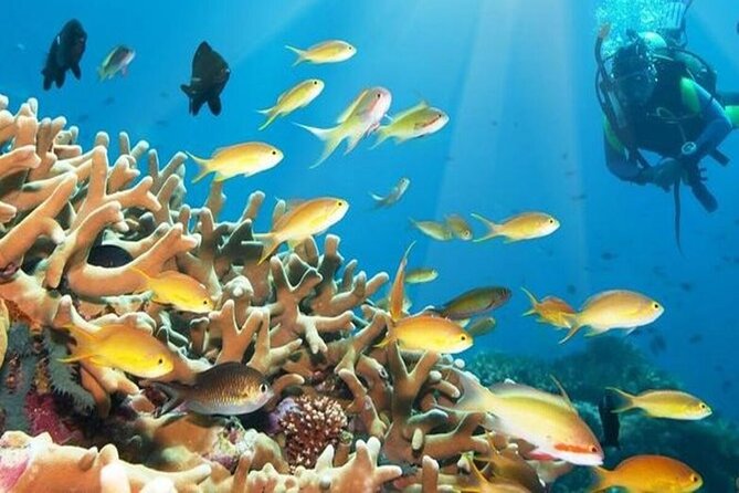 Sea Scope With Snorkeling Experience in Hurghada - Cancellation Policy